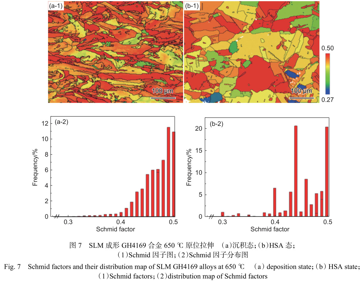 原位拉伸研究熱處理對(duì)激光選區(qū)熔化GH4169合金組織及650℃力學(xué)性能的影響 原位拉伸研究熱處理對(duì)激光選區(qū)熔化GH4169合金組織及650℃力學(xué)性能的影響
