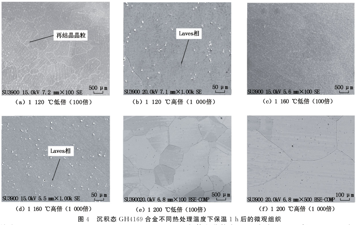 均勻化熱處理對(duì)電弧增材制造GH4169合金組織影響 均勻化熱處理對(duì)電弧增材制造GH4169合金組織影響