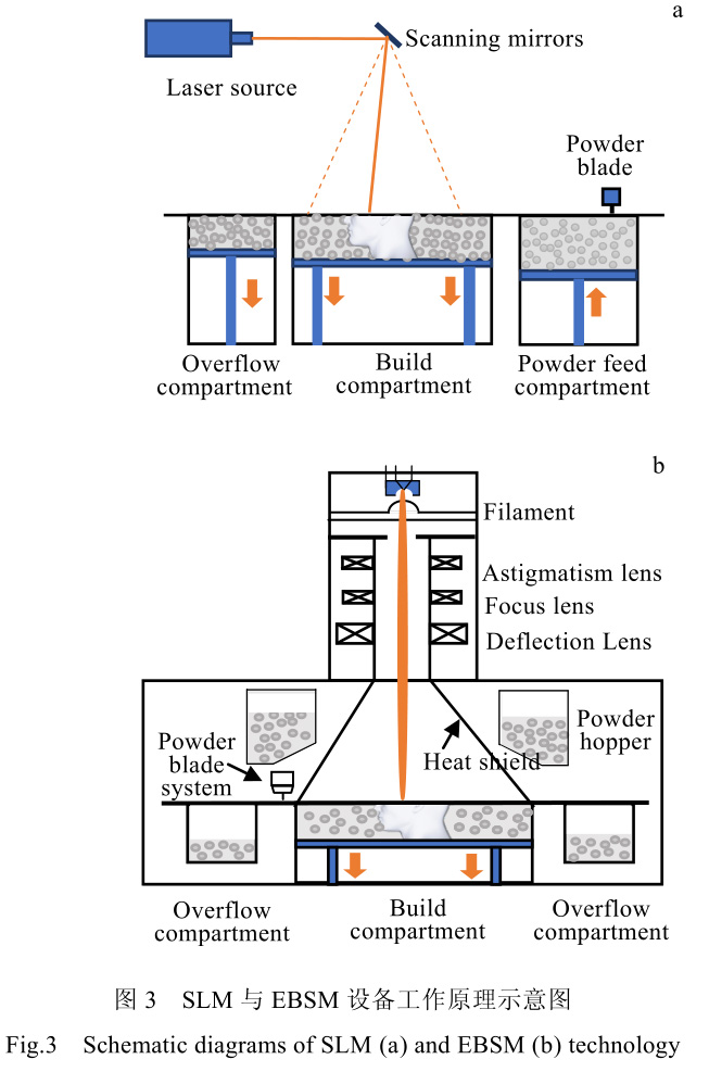 1689823047835318.jpg t3.jpg