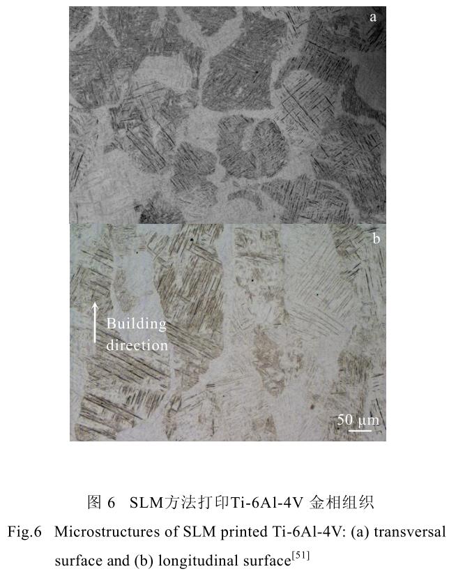 1689823222785676.jpg t6.jpg