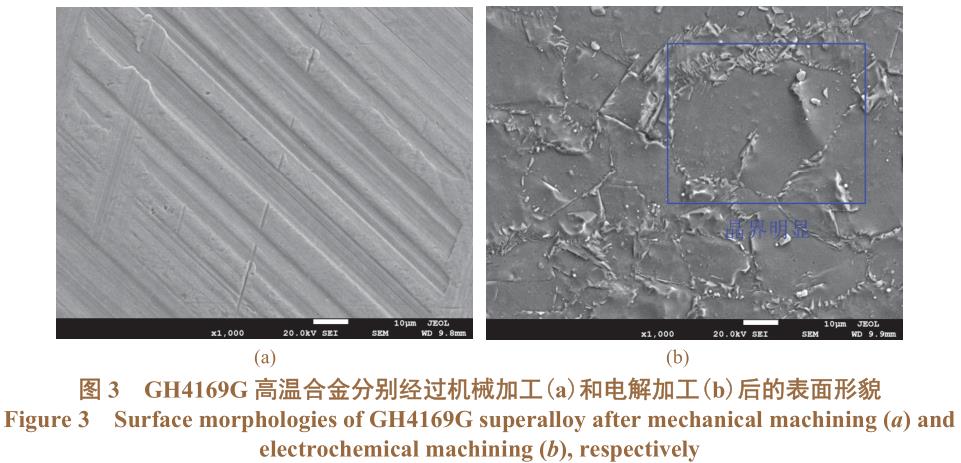 1694161529275307.jpg t3.jpg