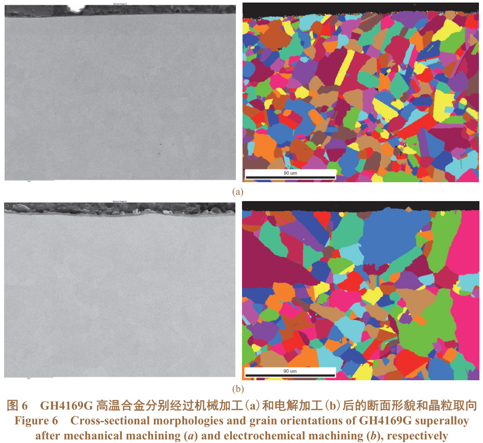 1694161568221963.jpg t6.jpg