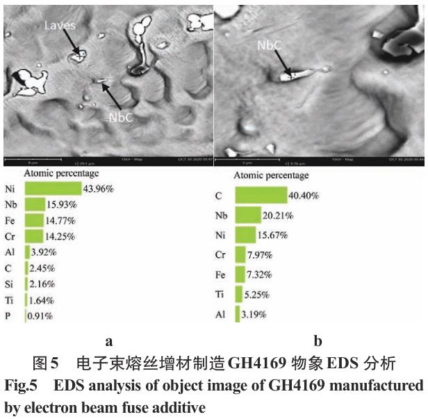 1695204787439635.jpg t5.jpg