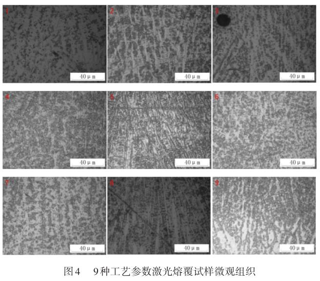 1695569134825390.jpg t4.jpg