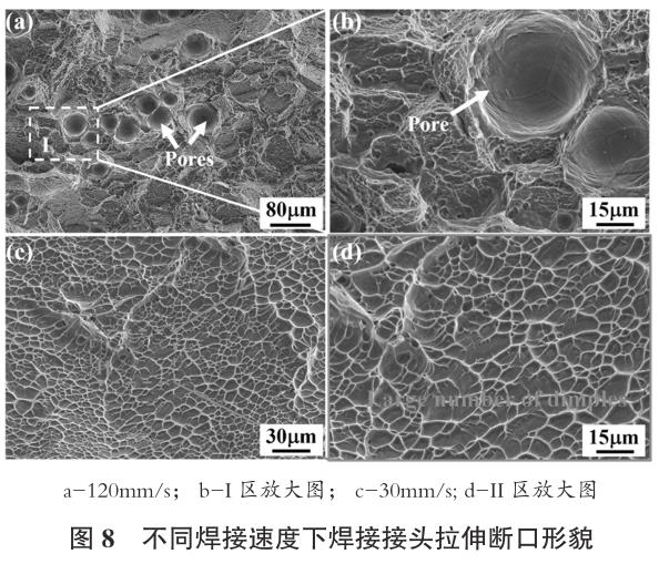 1695742011184492.jpg t8.jpg