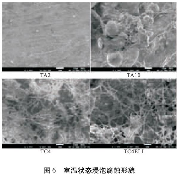 1695830034262380.jpg t6.jpg