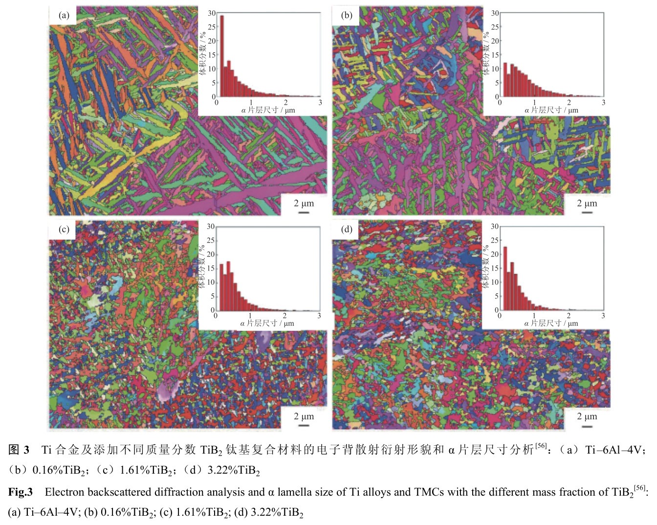 1696428077150262.jpg t3.jpg