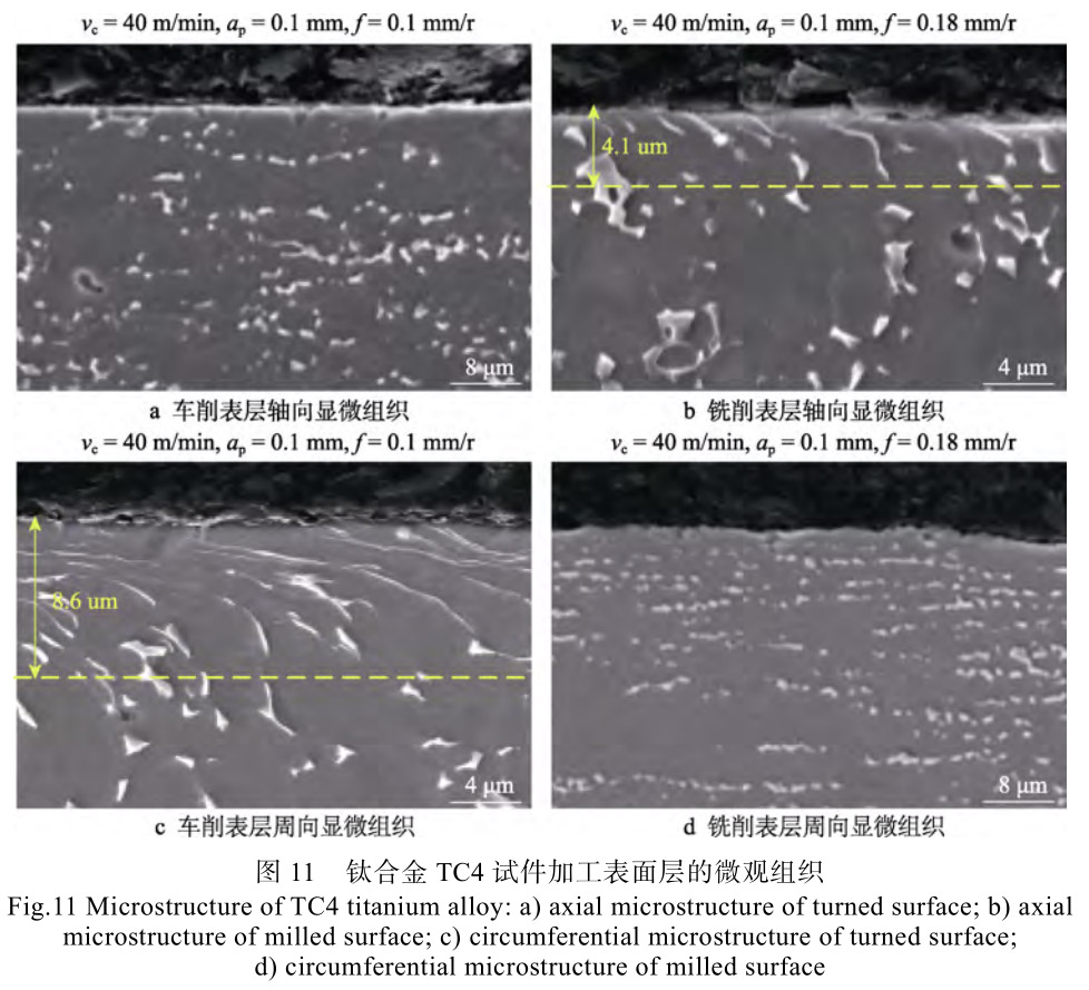 1696907931374458.jpg t11.jpg