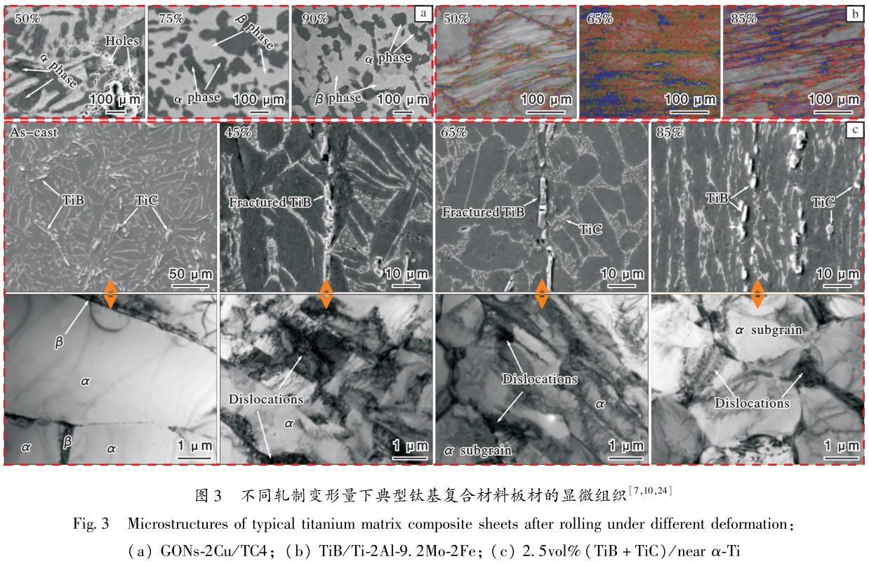 1697038251211019.jpg t3.jpg