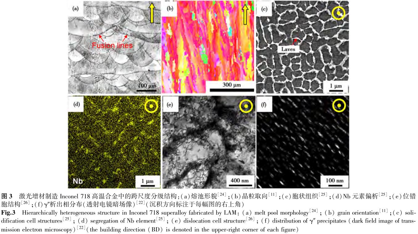 1699451420809667.jpg t3.jpg