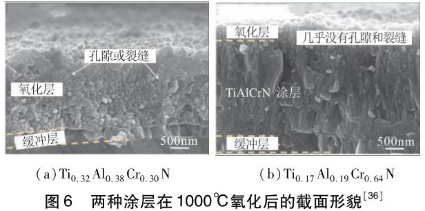 1701004185461102.jpg t6.jpg