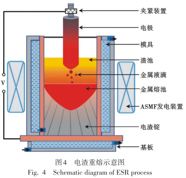 1701055709672362.jpg t4.jpg