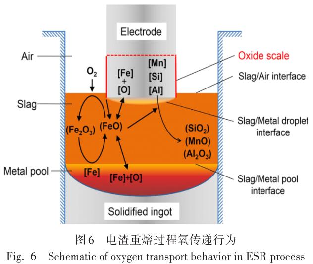 1701055727824152.jpg t6.jpg