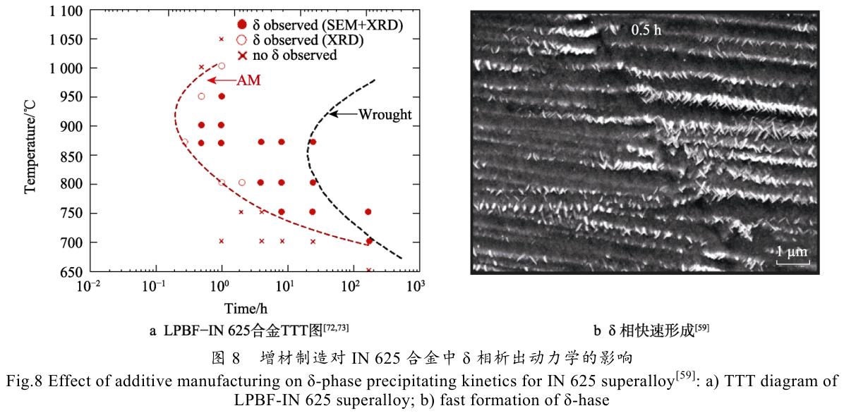 1708095398970223.jpg t8.jpg