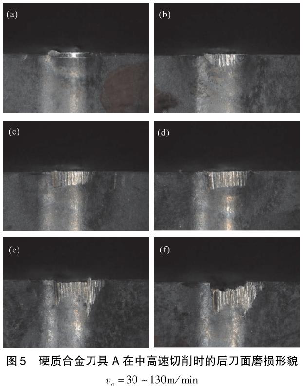 1708133926450115.jpg t5.jpg