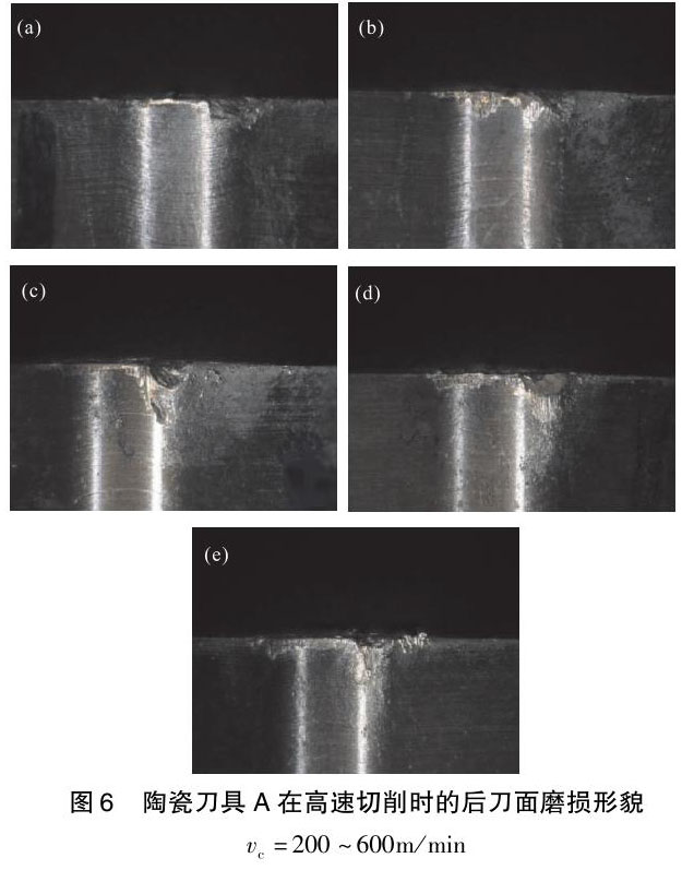 1708133939344025.jpg t6.jpg