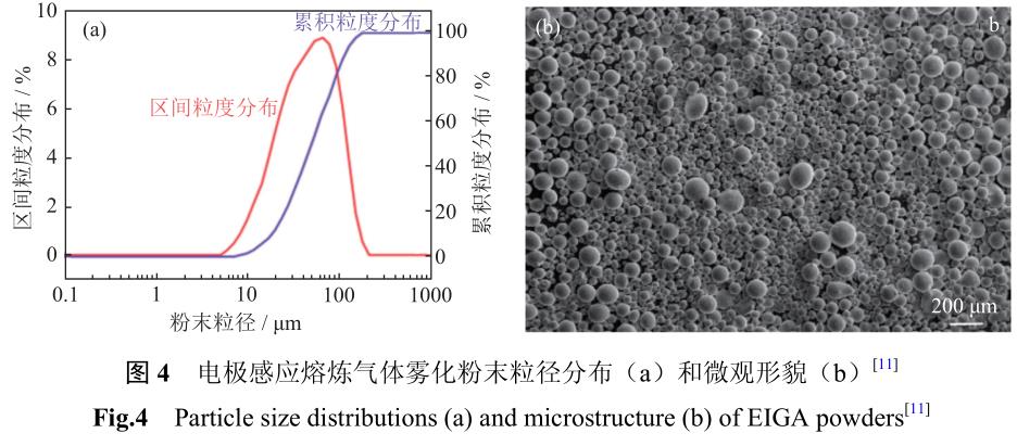 1708140054412125.jpg t4.jpg