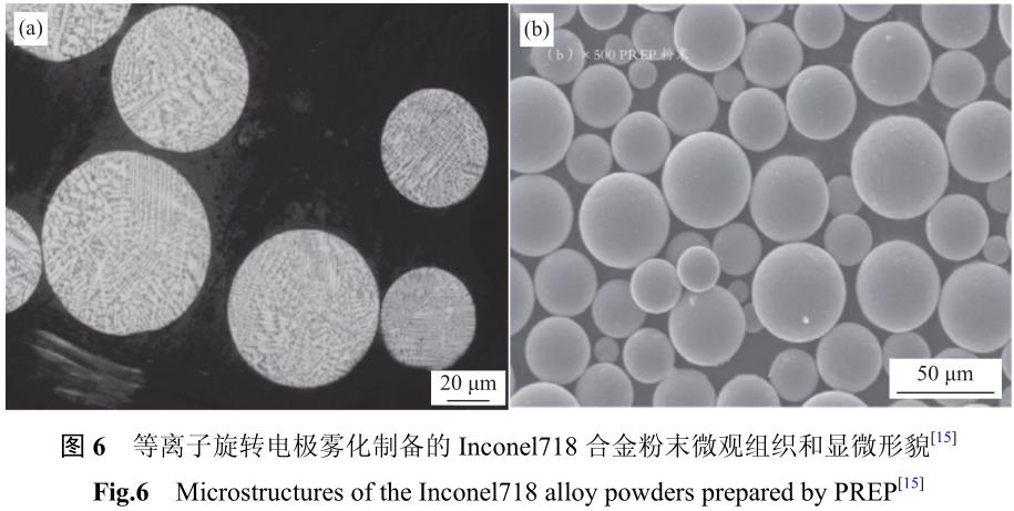 1708140082886760.jpg t6.jpg