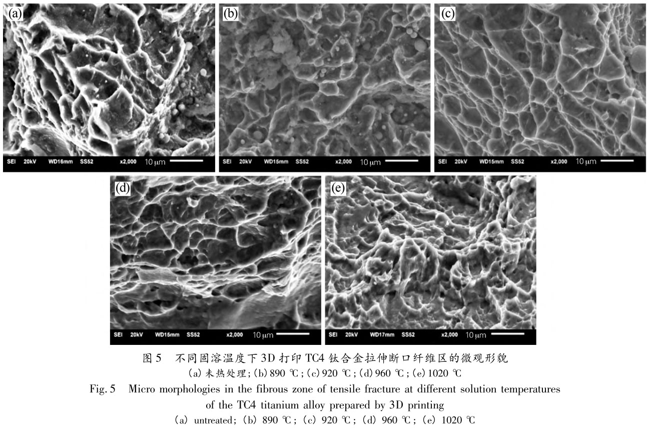 1705810660317066.jpg t5.jpg