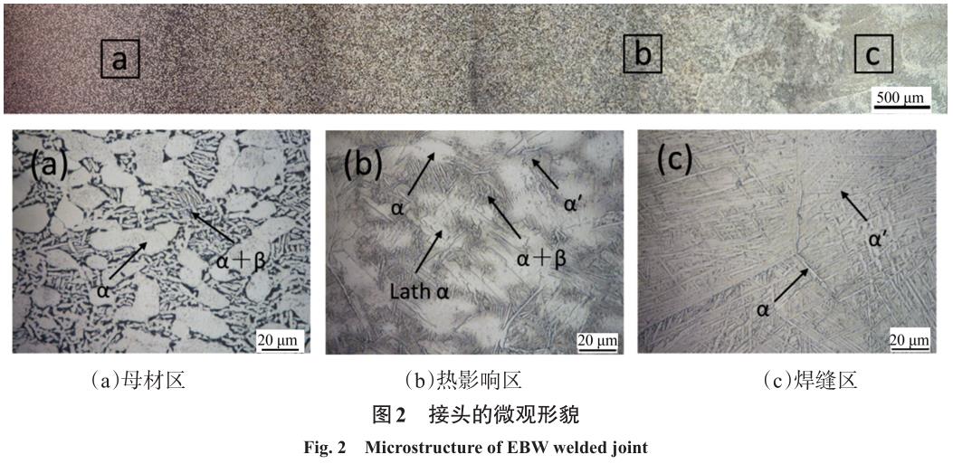 1708346408877536.jpg t2.jpg