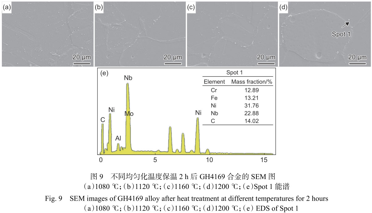 1716295762642283.jpg 未標(biāo)題-5.jpg