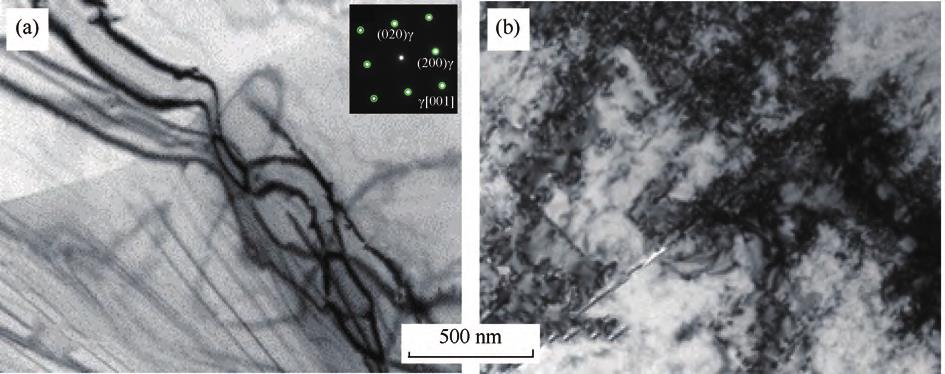 1716373023410347.jpg 13.jpg