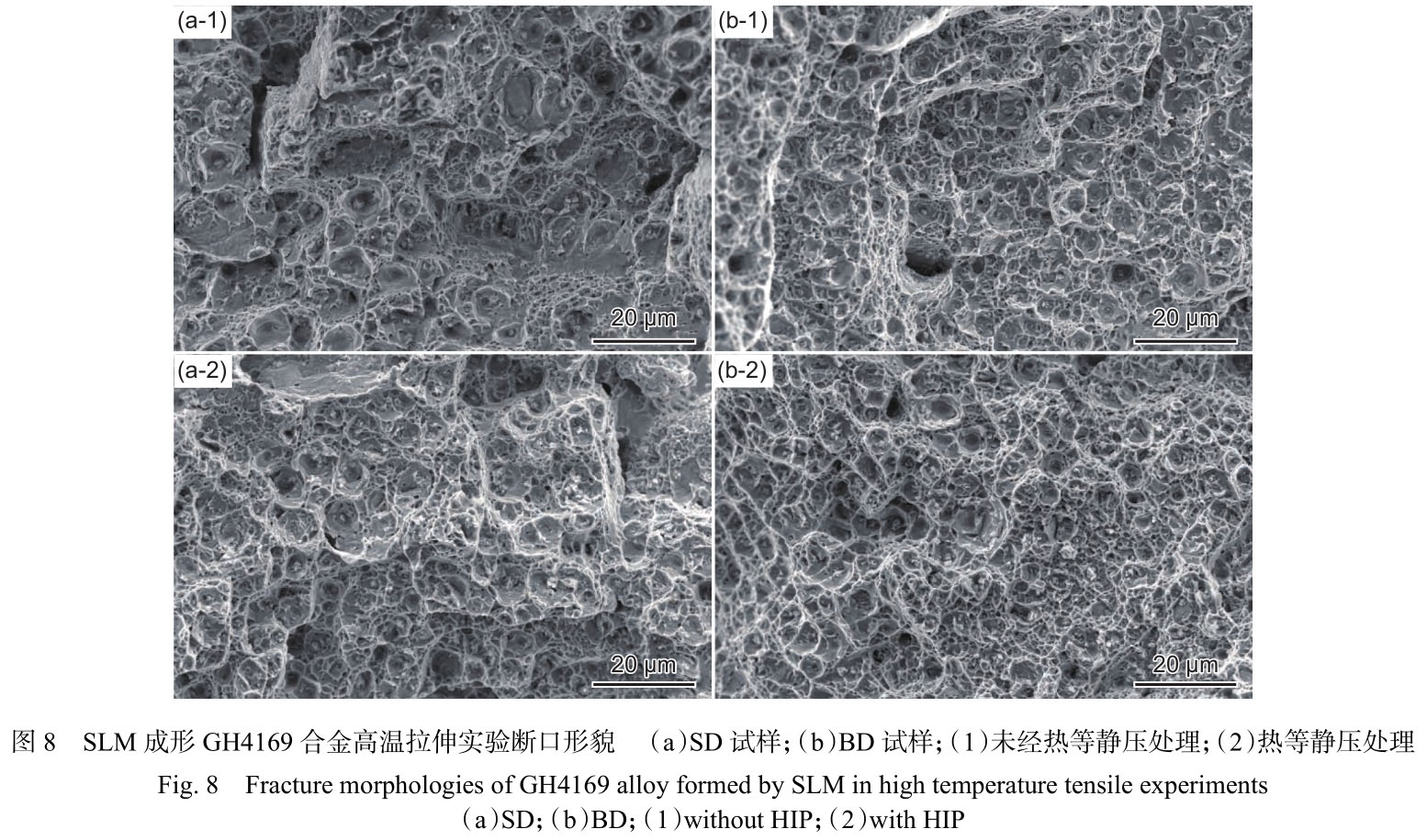 1716520466513631.jpg t8.jpg