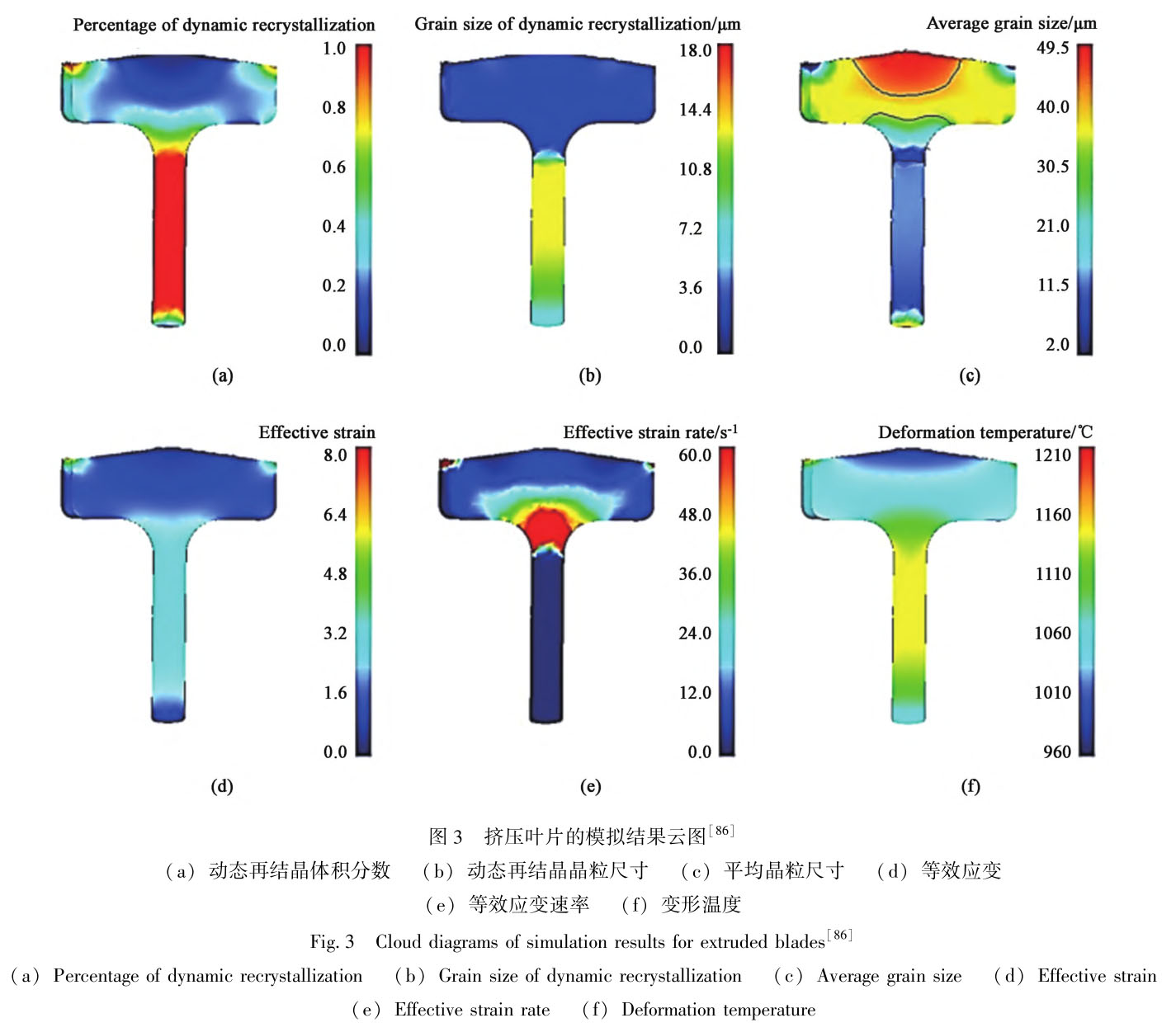 1716558910766538.jpg t3.jpg
