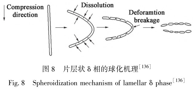 1716558959378707.jpg t8.jpg