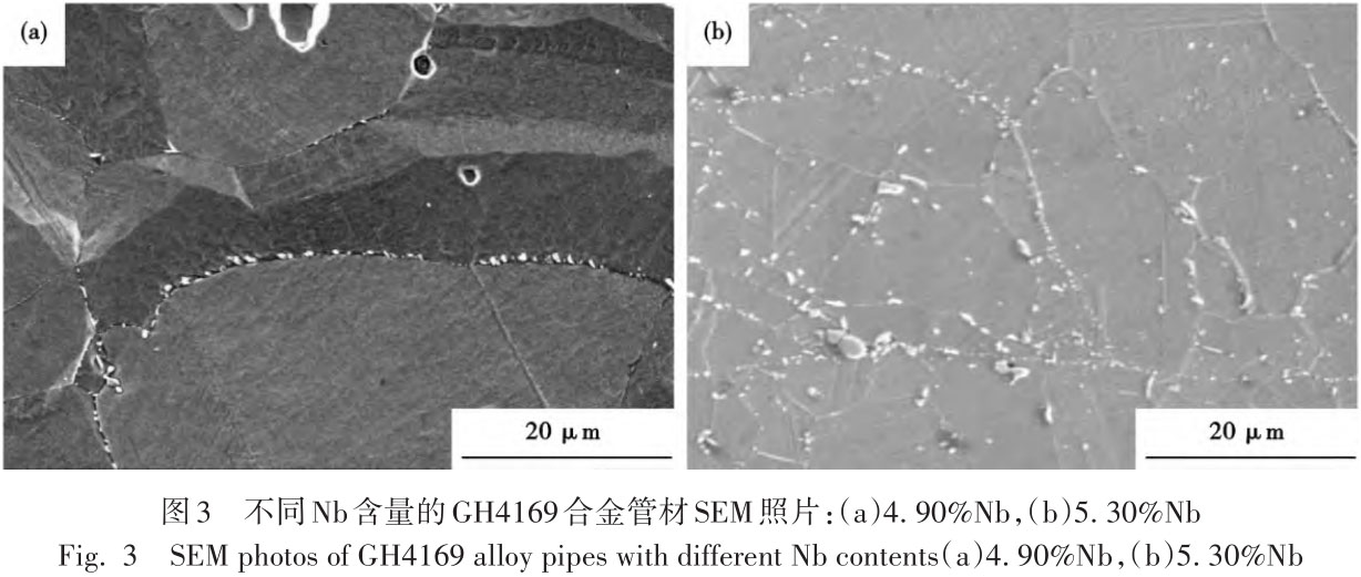 1720772908783040.jpg t3.jpg