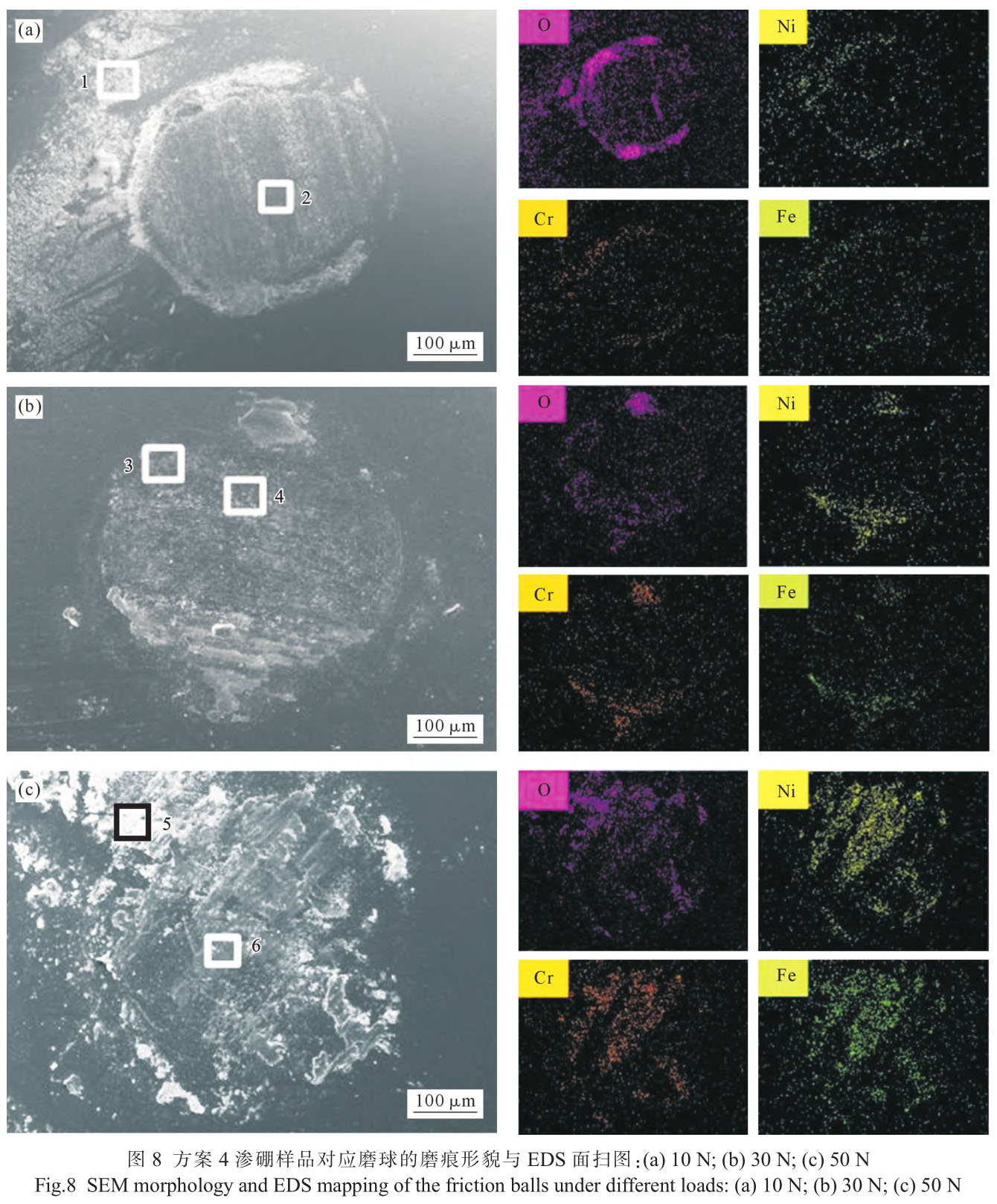 1720795203305004.jpg t8.jpg