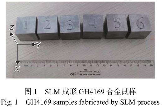 1720843149758492.jpg t1.jpg