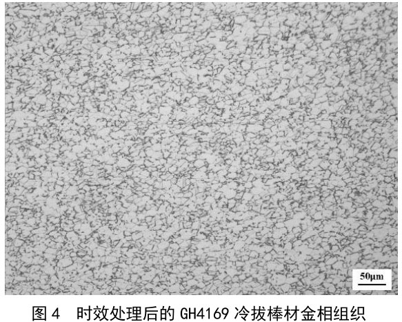 1722675635790764.jpg t4.jpg