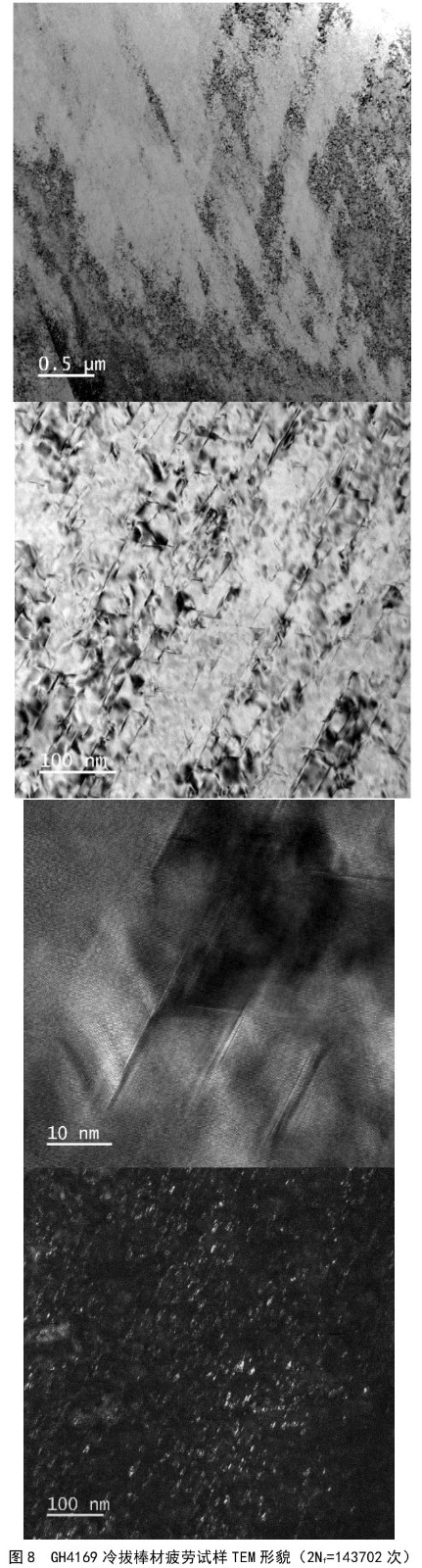 1722675675758792.jpg t8.jpg