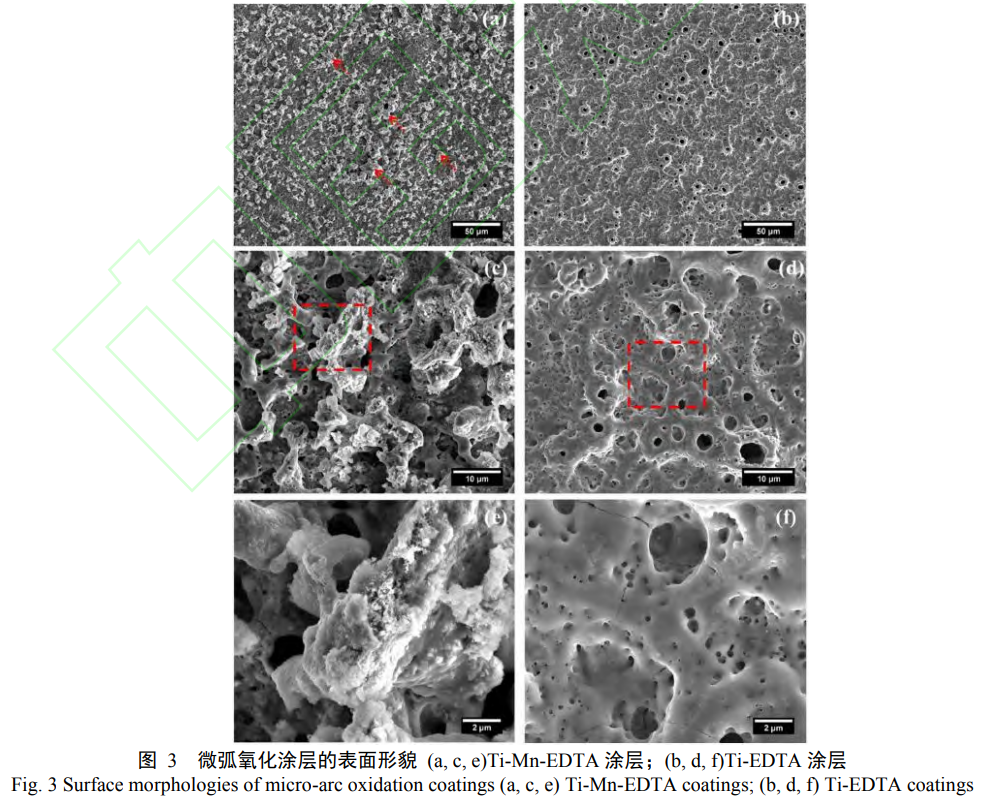 1738674292516235.png 3.png