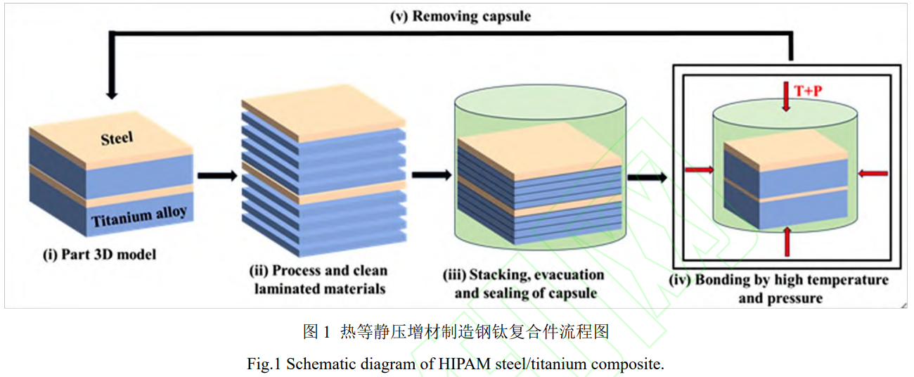 1739067026117561.png 截圖20250208225301.png