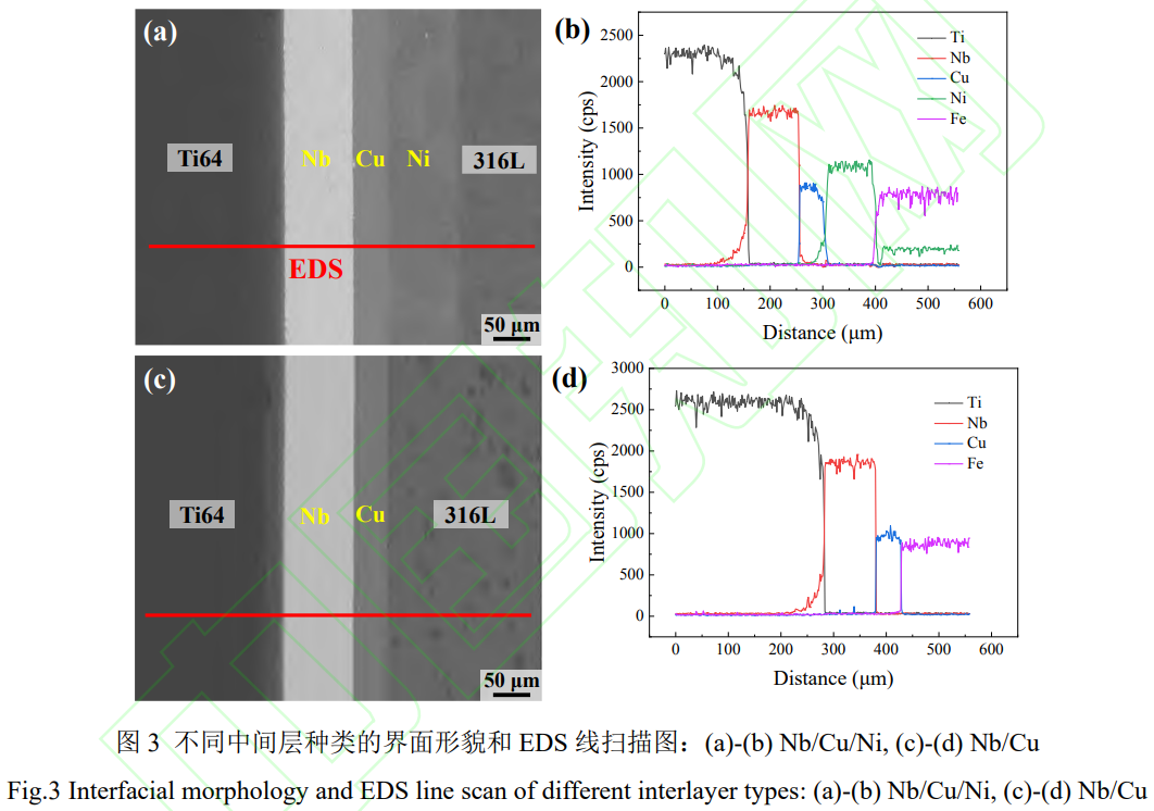 1739067059558294.png 截圖20250208225439.png