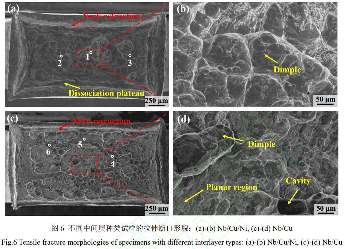 1739067112922186.png 截圖20250208225533.png